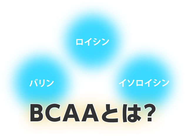BCAAとは？
